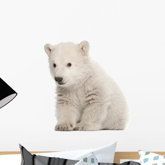 Polar Bear Cub Sitting Wall Decal -  – Wallmonkeys